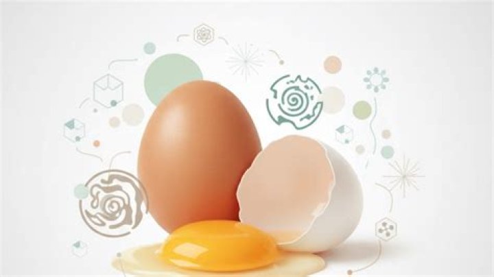 Are eggs inflammatory or anti inflammatory