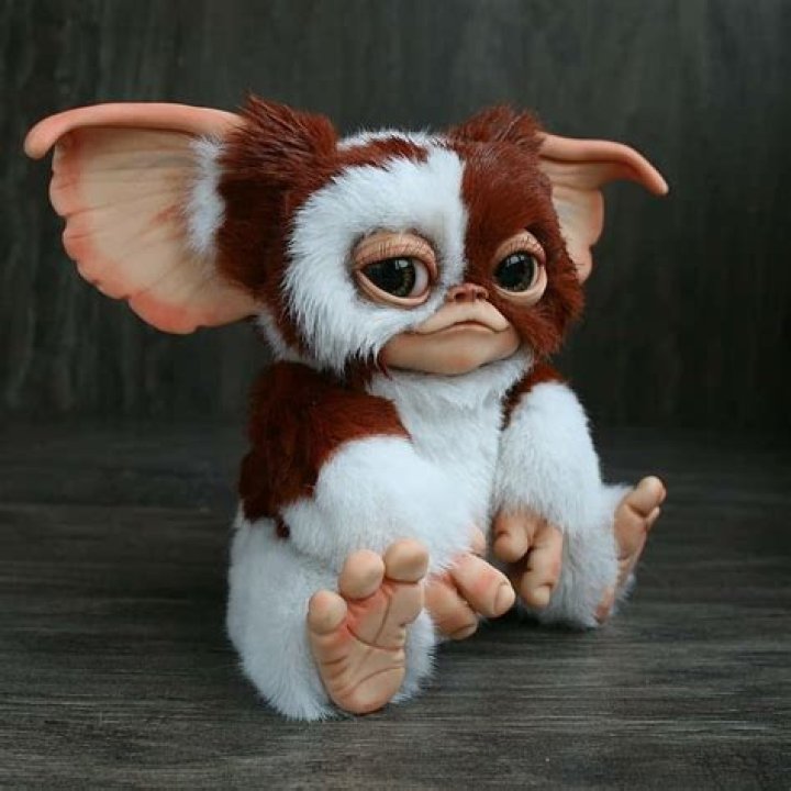Are gremlins cute