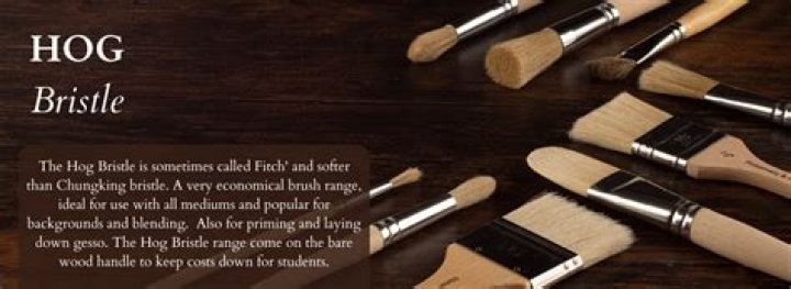 Are hog bristle brushes good
