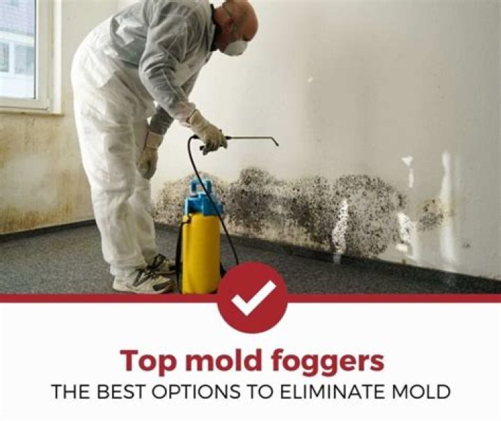 Are mold foggers safe