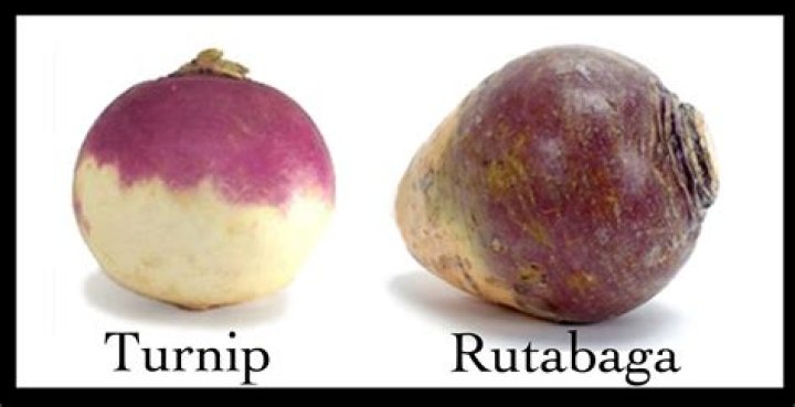 Are rutabagas and turnips the same