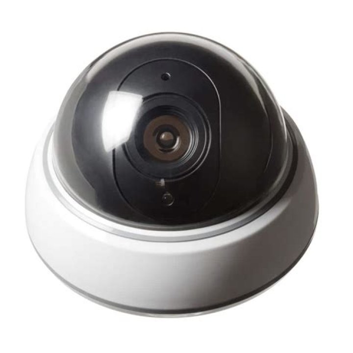 Are security cameras fake