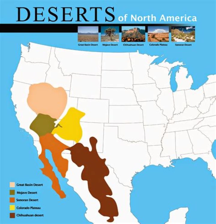 Are there any deserts in Georgia