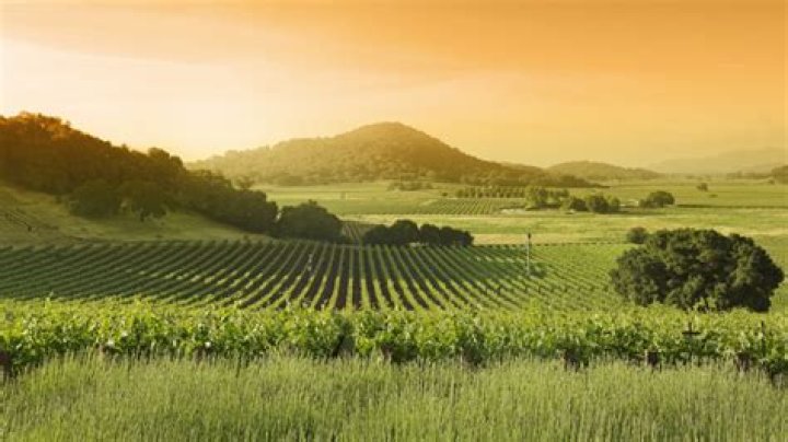 Are there any free wine tastings in Napa Valley