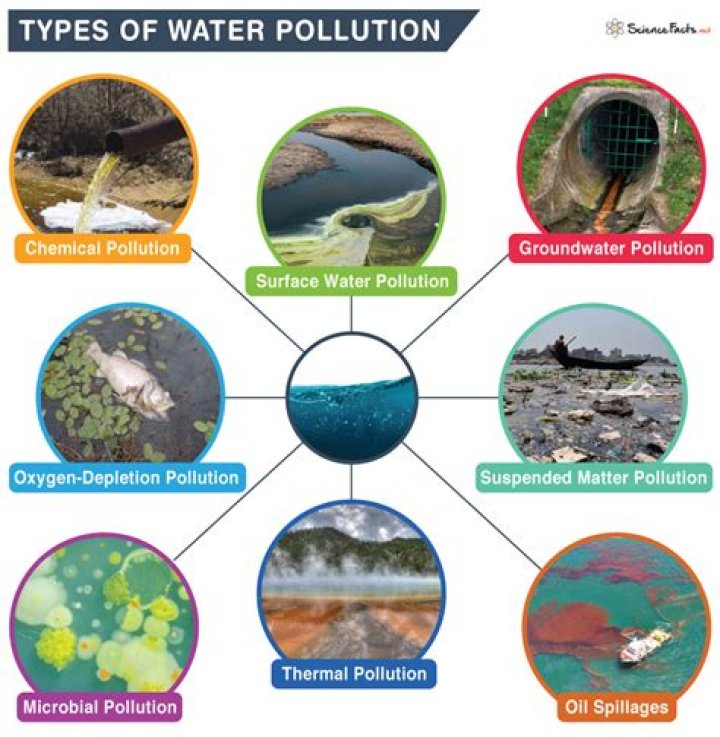 Are there different types of water pollution