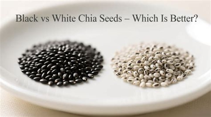 Are white or black chia seeds better