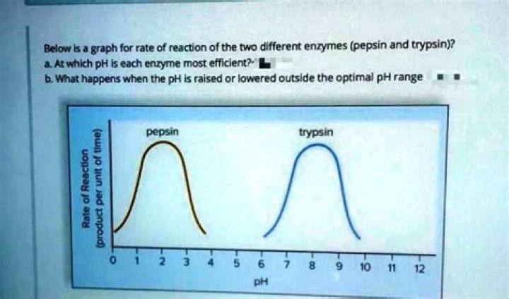 At what pH value is pepsin likely to denature