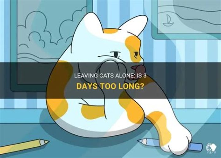 Can cats be left alone for 3 days