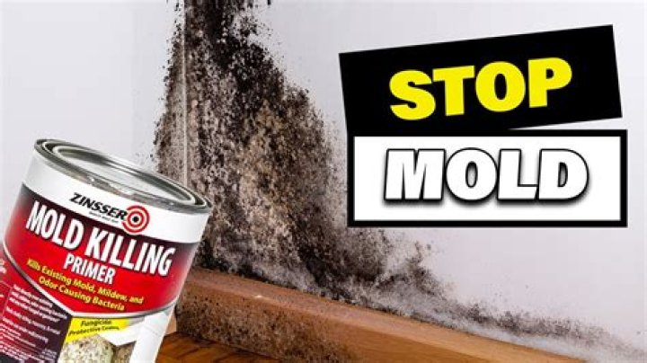 Can cooking kill mold