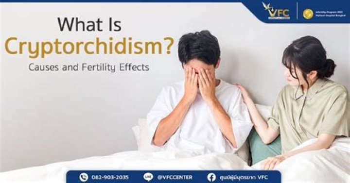 Can cryptorchidism affect fertility