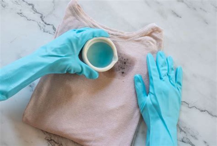 Can detergent remove mold