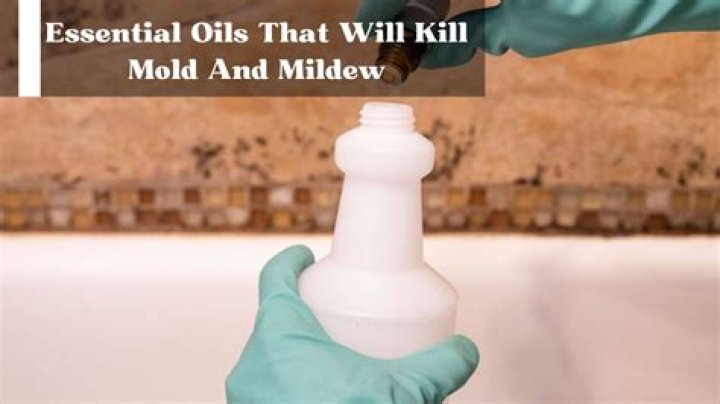 Can diffusing essential oils kill mold