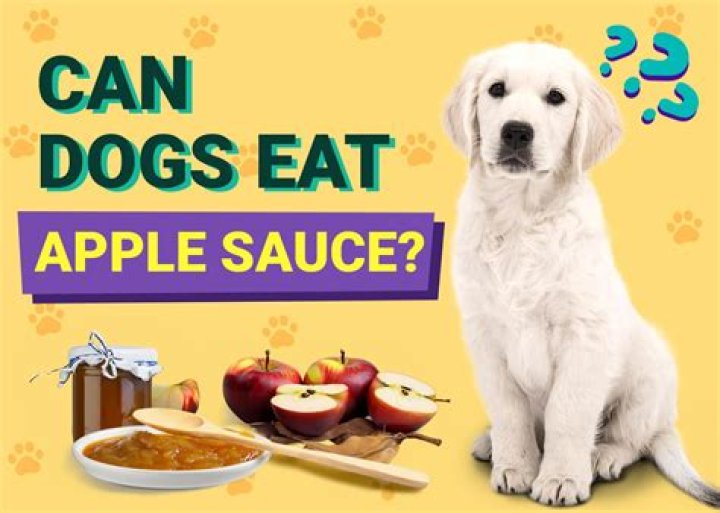 Can dogs eat applesauce