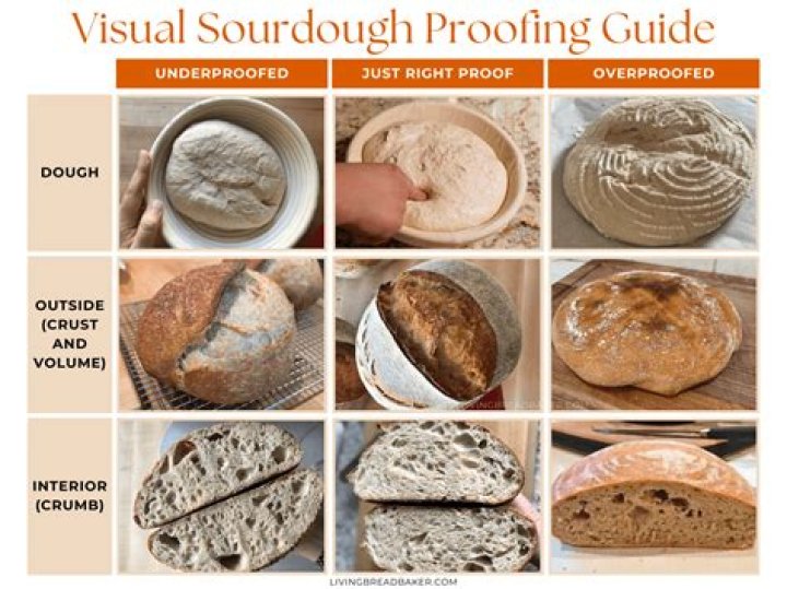Can dough proof too long