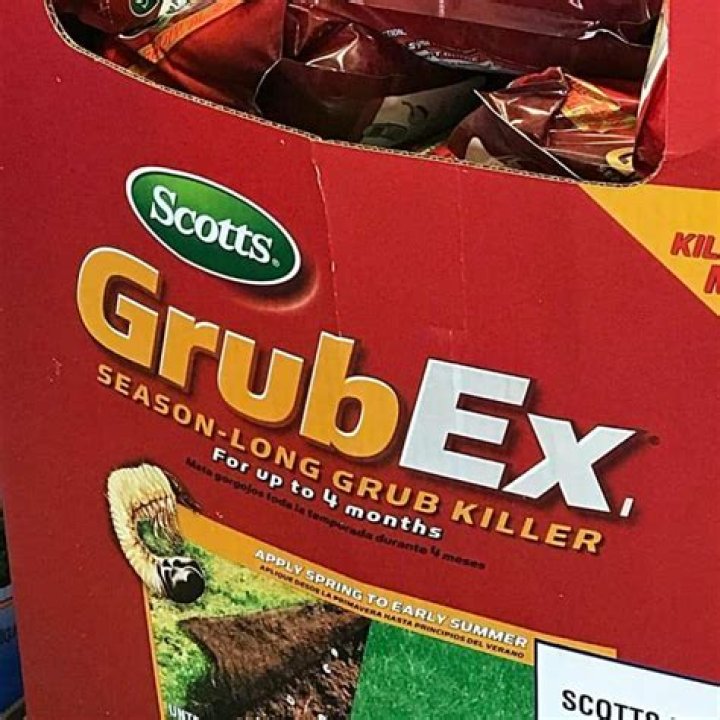 Can I apply GrubEx in October