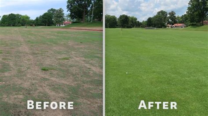 Can I overseed in July