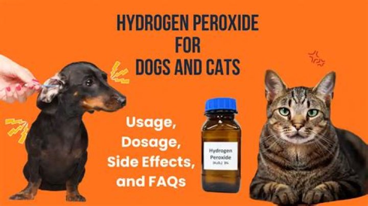 Can I put hydrogen peroxide on my dogs hot spot