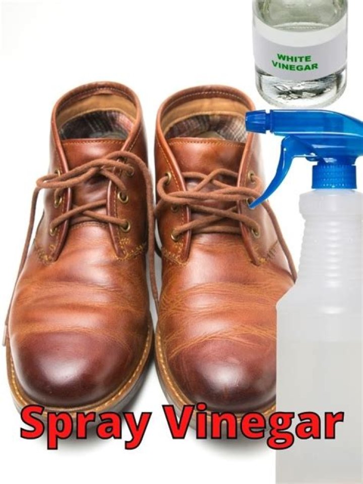 Can I spray vinegar in my shoes