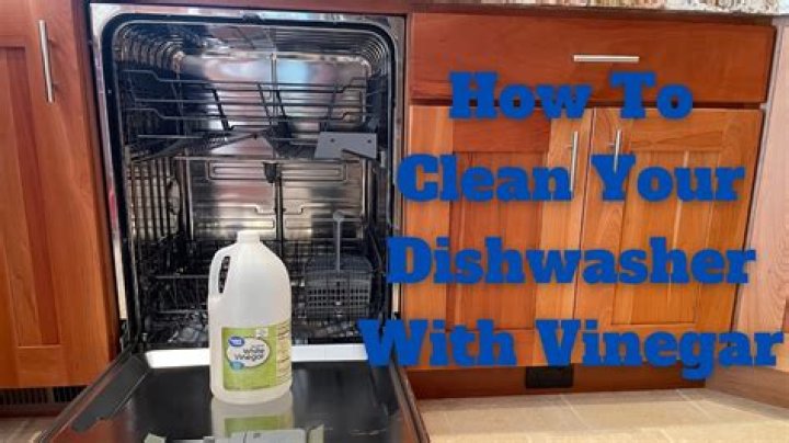 Can I use cider vinegar to clean dishwasher