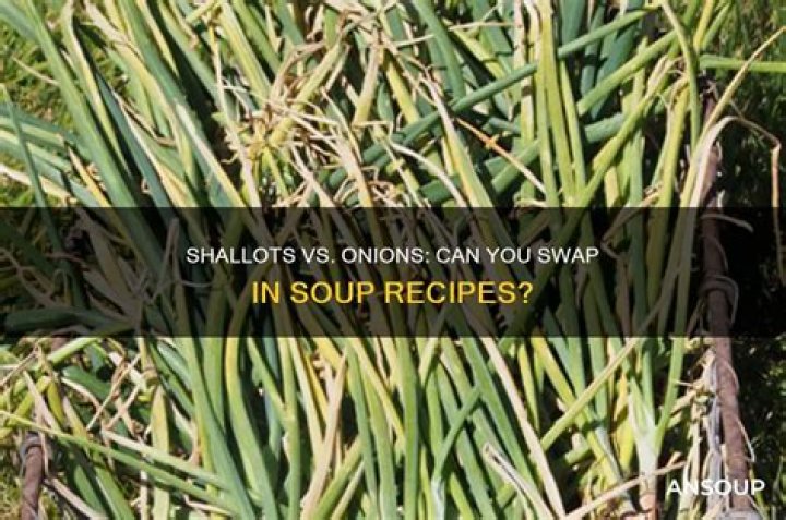 Can I use shallots instead of onions