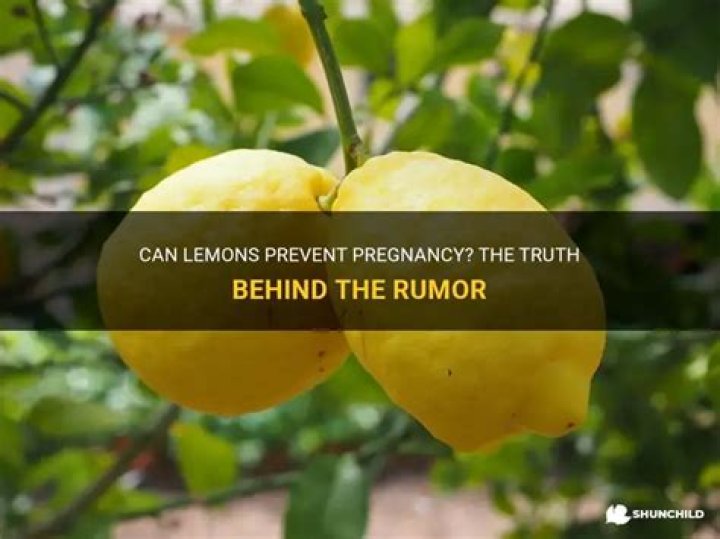 Can Lemon stop pregnancy