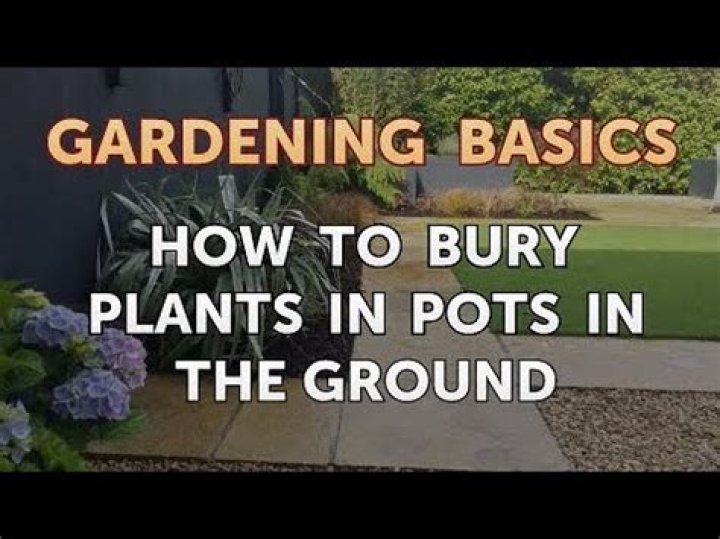 Can you bury a potted plant