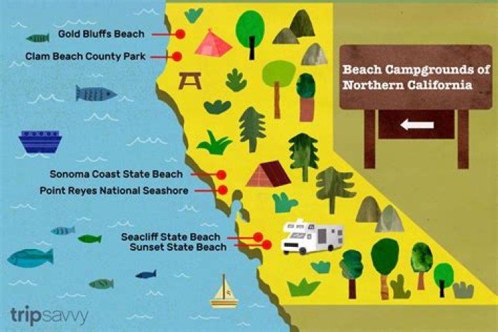 Can you camp on any beach in California