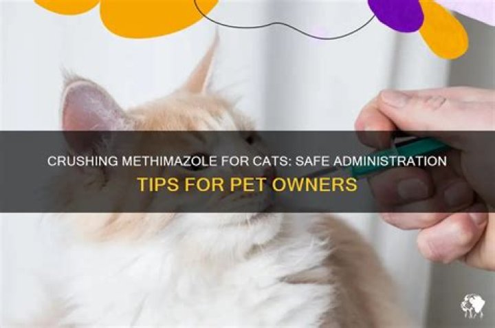 Can you crush up methimazole