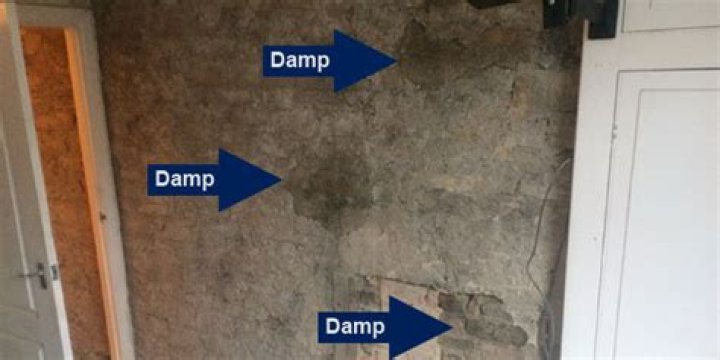 Can you dot and dab on damp walls