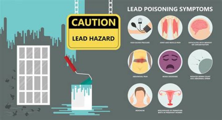 Can you get lead poisoning from a pellet