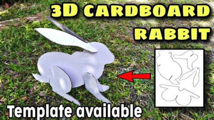 Can you give a rabbit cardboard