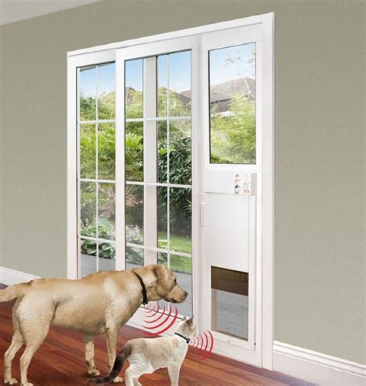 Can you install a pet door in a sliding glass door