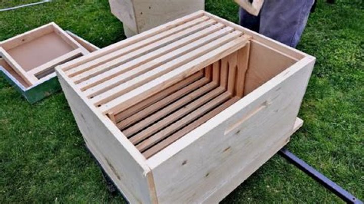 Can you make bee hives out of plywood