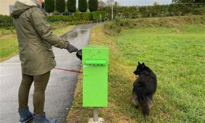 Can you put dog poo in green bin