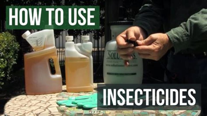 Can you put insecticide on new sod
