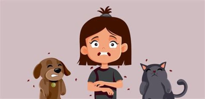 Can you set off a flea bomb with cats in the house