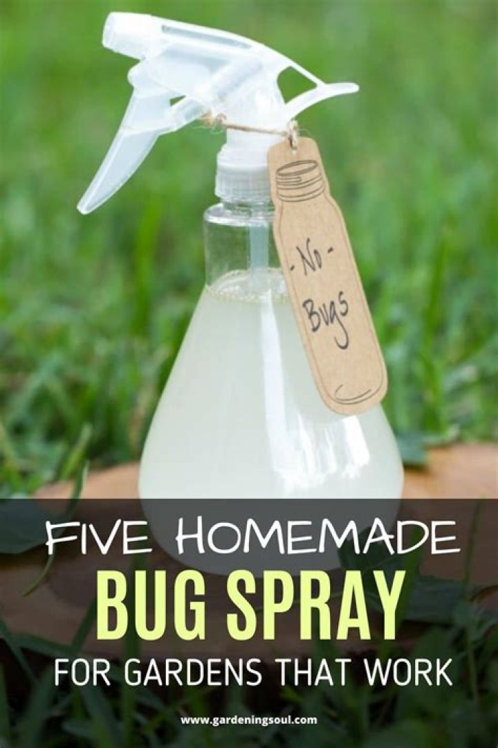 Can you spray insect repellent on plants