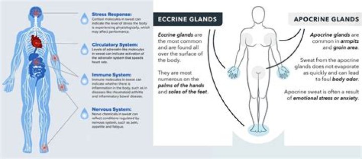 Can you sweat out body aches