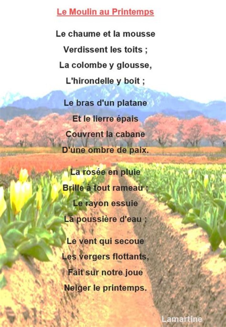 Cest quoi une rime dans une poésie