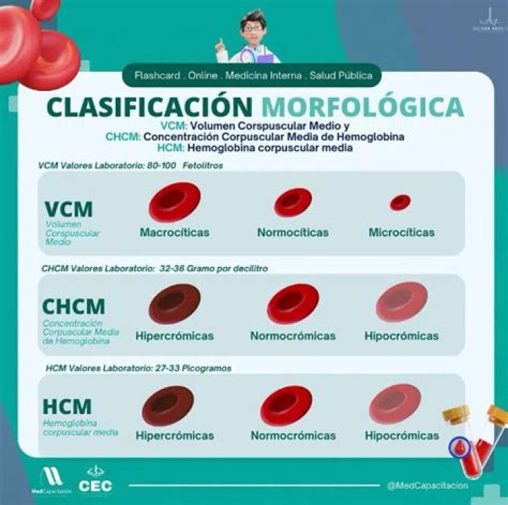 ¿Cuál es el valor normal de HCM