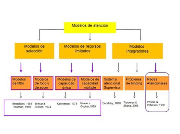 ¿Cuáles son los modelos de excelencia