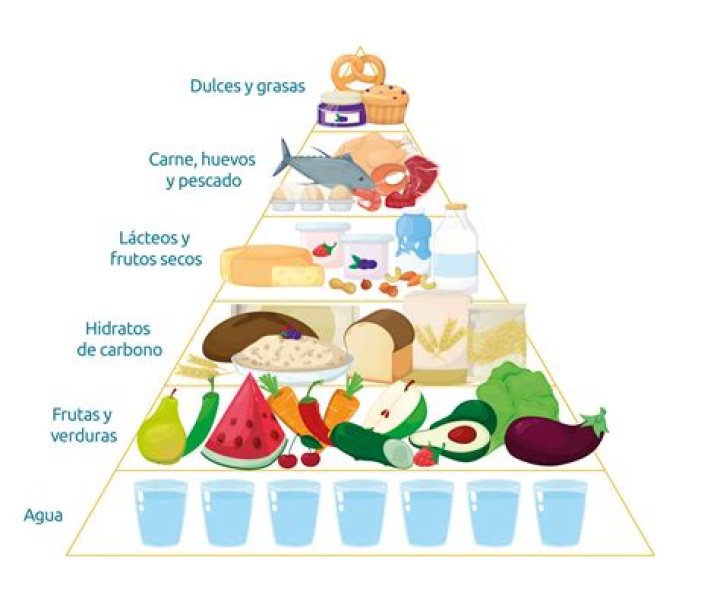 ¿Cuándo fue creada la pirámide alimenticia