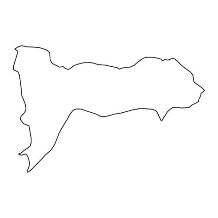 ¿Cuántos municipios tiene el departamento de Madriz