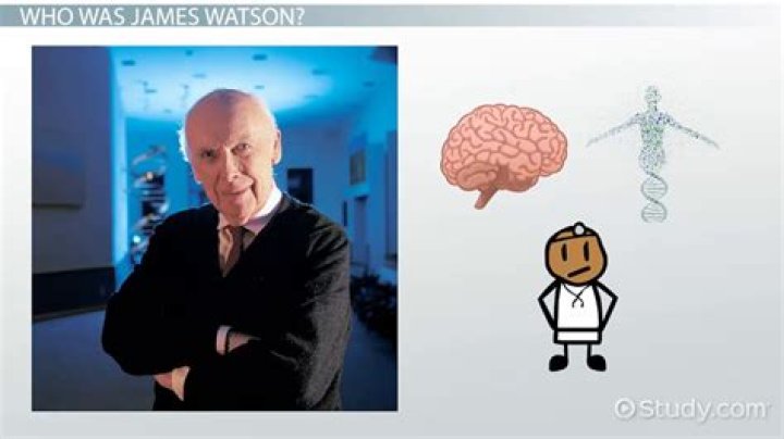 Did James Watson discover DNA