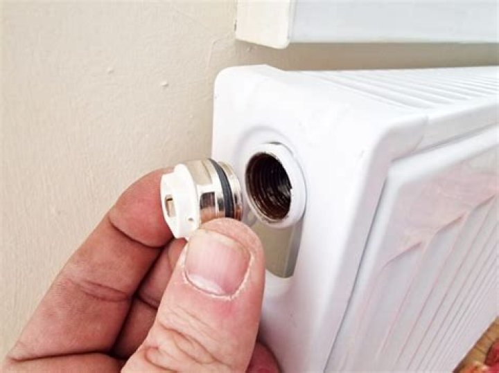 Do all radiators have a bleed valve