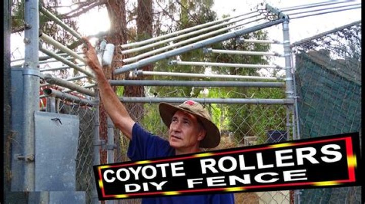 Do coyote rollers work for dogs