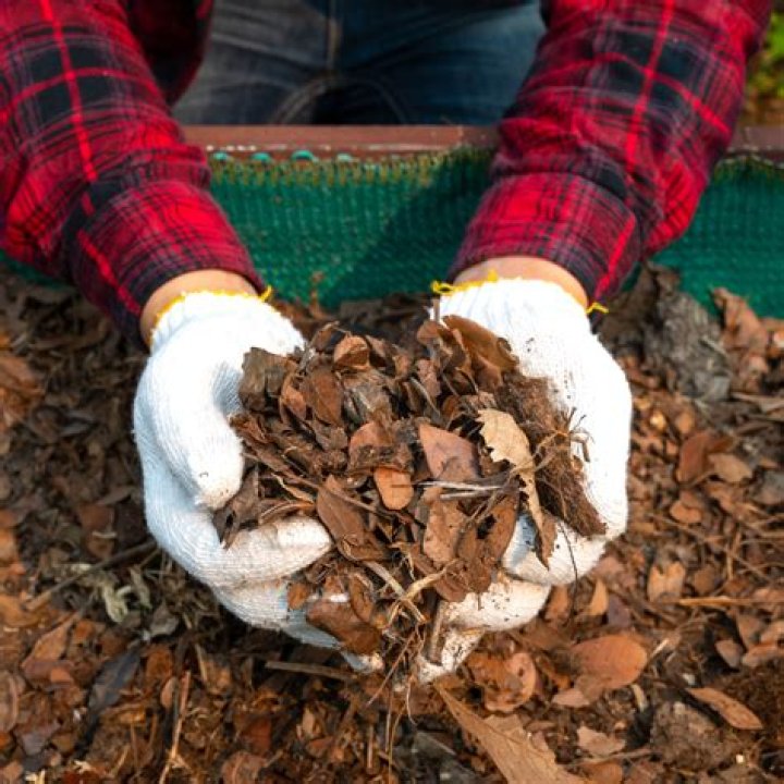Do dead leaves make good compost