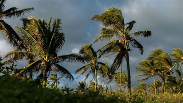 Do hurricanes ever hit Hawaii