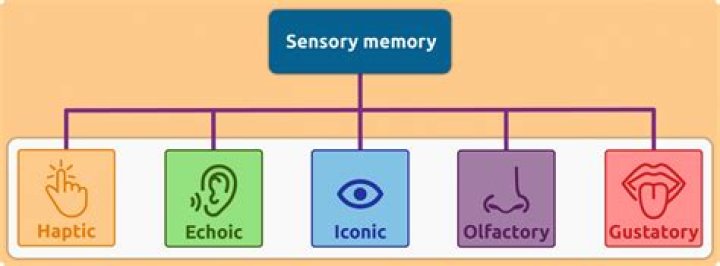 Do infants have a memory