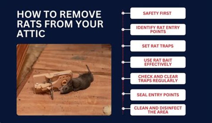 Do landlords have to get rid of rats